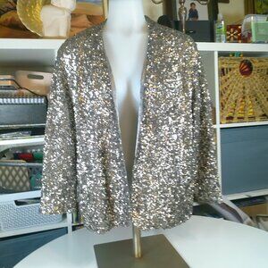Apt 9 Sequined Evening Blazer/Jacket Silver Lined-3/4 sleeve Women Size L NWT